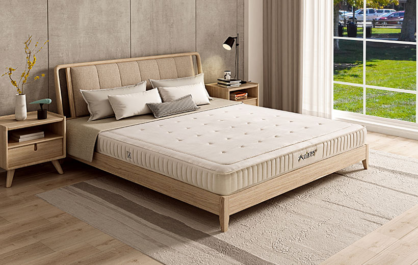 Natural Coir Mattress · Z5